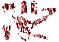 Sur-Ron Ultra Bee Graphics kit, Surron Decals, Surron wrap, Surron Sticker Kit EB286-RED