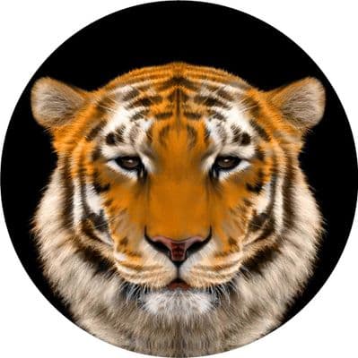 TIGER 4x4 Spare Wheel Cover DECAL STICKER