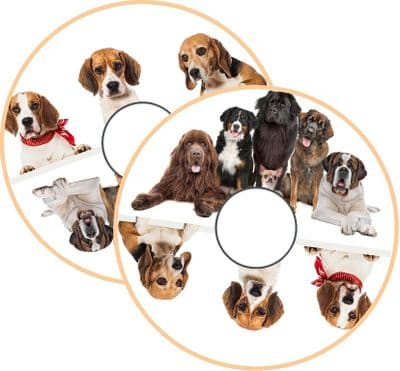 Wheelchair STICKER SKINS (11)