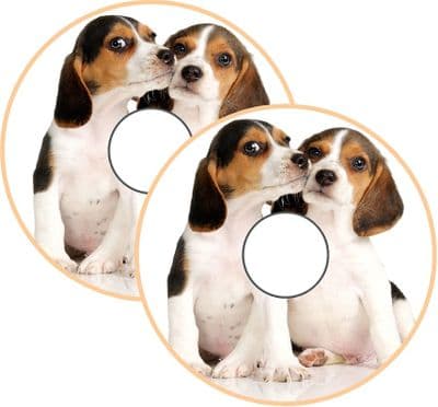 Wheelchair STICKER SKINS (12)