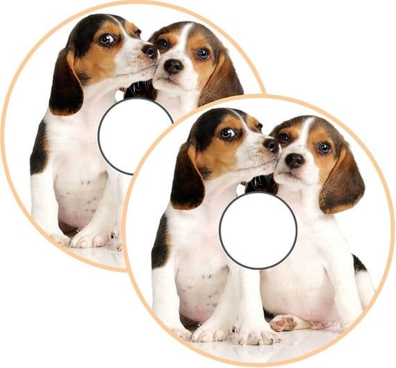 Wheelchair STICKER SKINS (12)