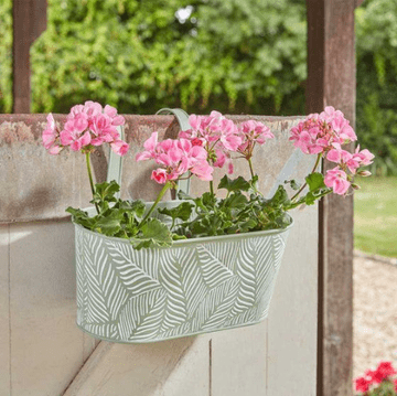 12" Fence & Balcony Metal Hanging Planter - Sage Fern