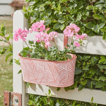 12" Fence & Balcony Metal Hanging Planter - Terracotta Fern