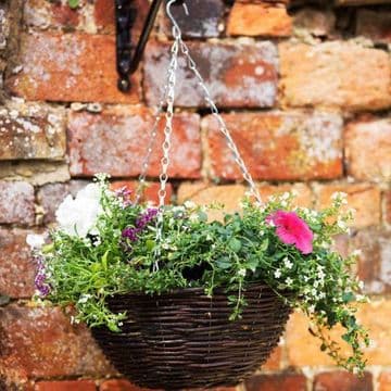 12in Natural Rattan Hanging Basket - 30cm
