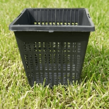 1L Square Pond Planting Basket - 11cm x 11cm