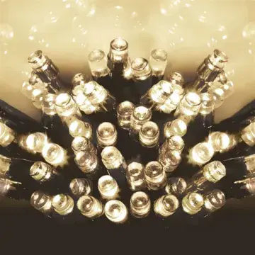 200 Battery Operated Lights - Multi-Funtion - Warm White with Timer