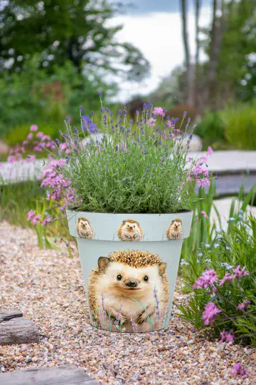 23cm Hedgehog Eco Planter - 100% Recycled Plastic