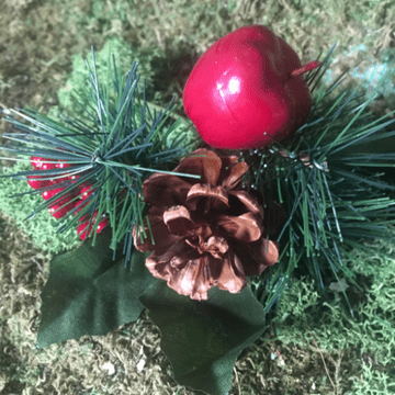 Apple & Berry Festive Pick