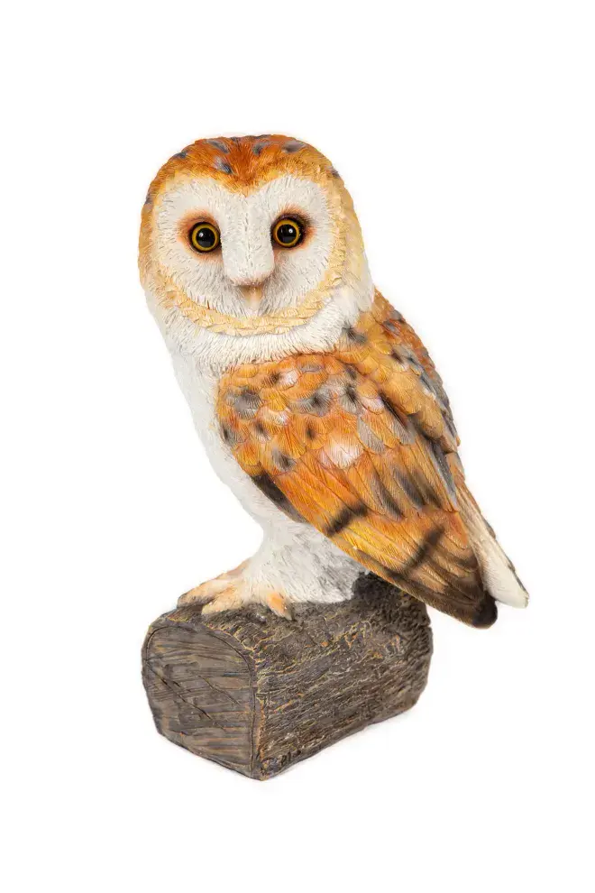 Baby Barn Owl - 24cm.