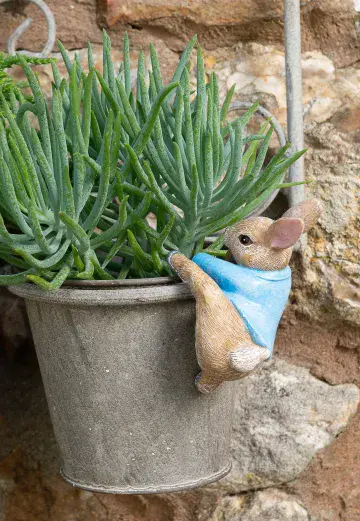 Beatrix Potter Peter Rabbit - Peter Climbing