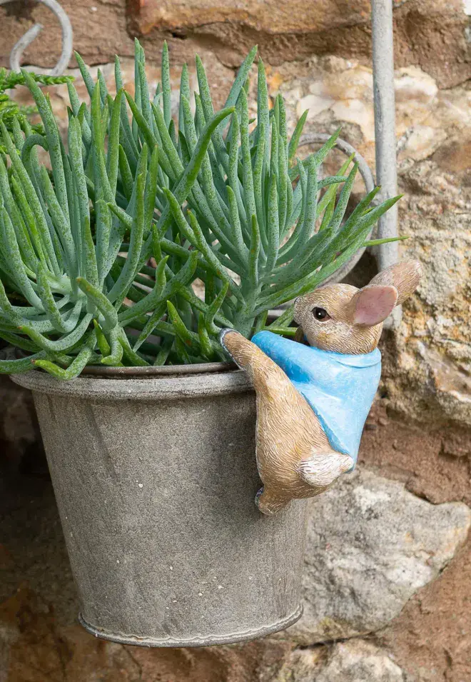 Beatrix Potter Peter Rabbit - Peter Climbing.