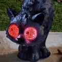 Berry the Blinking Scardedy Cat - LED moving eyes - With auto timer - 24cm.