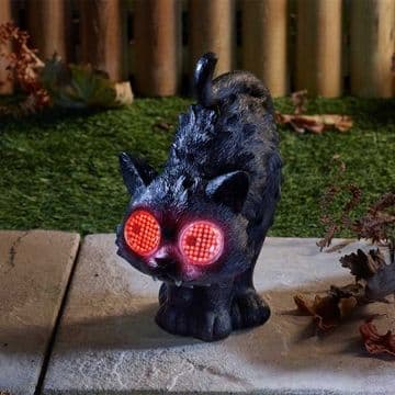 Berry the Blinking Scardedy Cat - LED moving eyes - With auto timer - 24cm