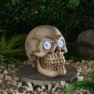 Bert the Blinking Skull - LED moving eyes - With auto timer - 22cm
