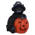 Boo The Pumpkin Cat.
