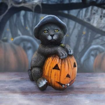 Boo The Pumpkin Cat