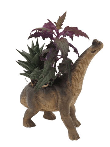 Brachiosaurus Dinosaur Planter