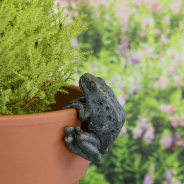 Bronze Frog Plant Pot Hanger - 7cm