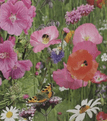 Butterfly & Bee Garden Seed mix - Shake & Sow Box  - 20,000 seeds.