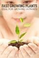 Butterfly & Bee Garden Seed mix - Shake & Sow Box  - 20,000 seeds.