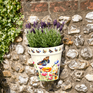 Butterfly Meadow - Wall Planter 25cm - Made From Recycled Plastic