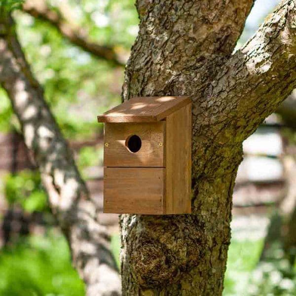 Classic Nest Box -Made with FSC Wood.