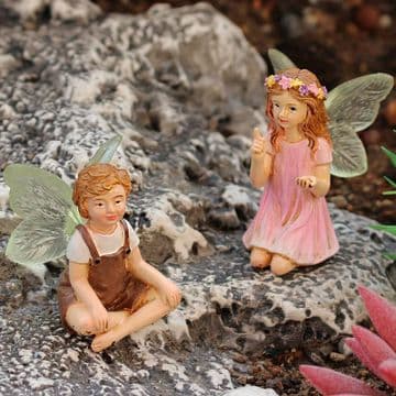 Clear Wing Fairies - Peter & Pam