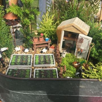 Country Veg garden in a zinc wheelbarrow