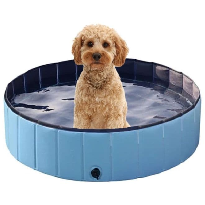 Crufts Dog Paddling Pool - 80cm by 30cm.