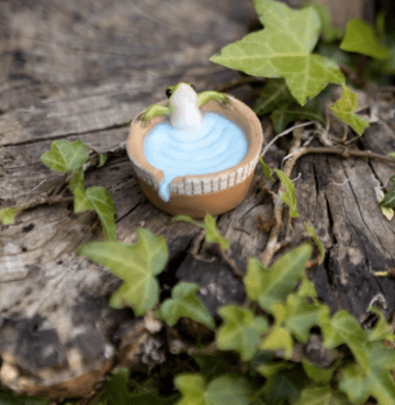 Cute Frog In a water Barrel