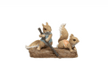Cute Sculling Squirrels.