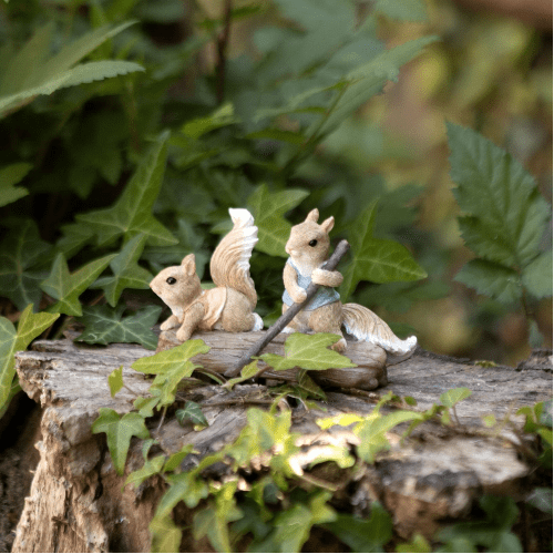 Cute Sculling Squirrels.
