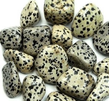 Dalmation Jasper - Polished Tumbled Gemstone