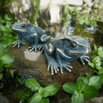 Dark Green Garden Frog- Two Designs to choose from