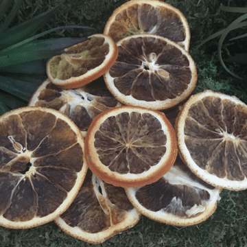 Dried Orange Slices - Pack of 10