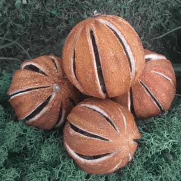 Dried Whole Oranges - Pack of 4