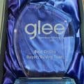 September 2017 Glee power awards