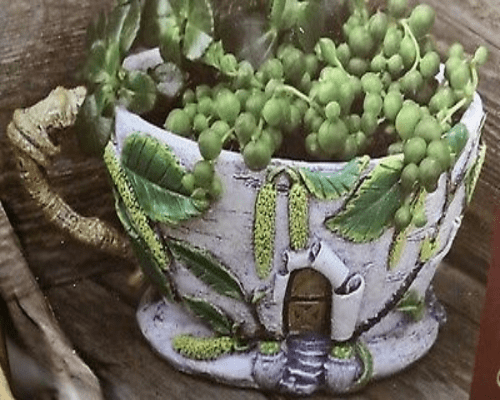 Fiddlehead Catkin Tea Cup Planter.