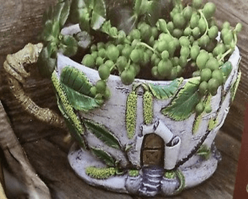 Fiddlehead Catkin Fairy House Tea Cup Planter