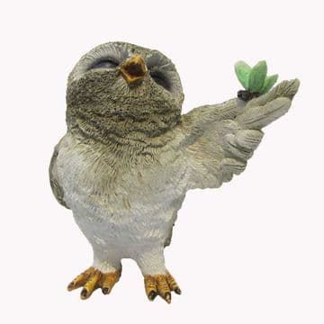 Fiddlehead- Cute Owl & Butterfly