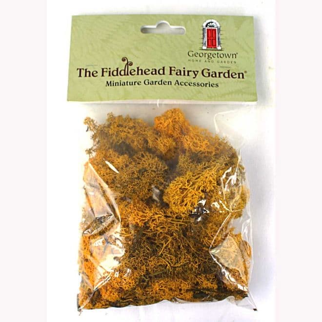 Fiddlehead =Natural Fresh Dyed Reindeer Moss - Autumn Yellow