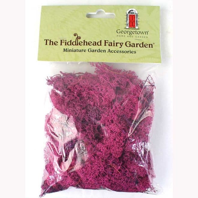 Fiddlehead =Natural Fresh Dyed Reindeer Moss - Fuchsia Pink