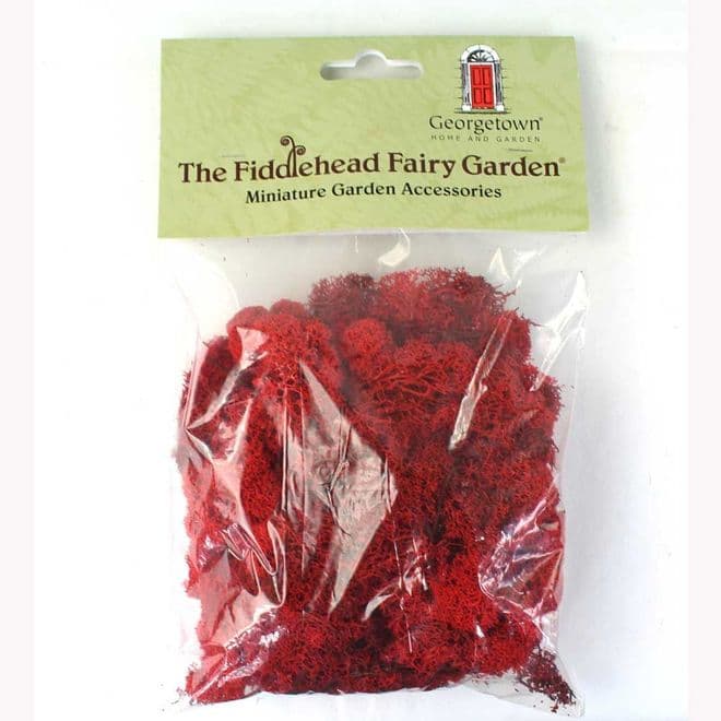 Fiddlehead =Natural Fresh Dyed Reindeer Moss - Red.
