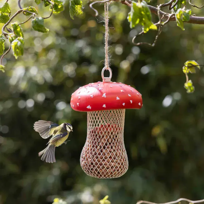 Fly Agarric Mushroom Bird Feeder for Peanuts 17cm.