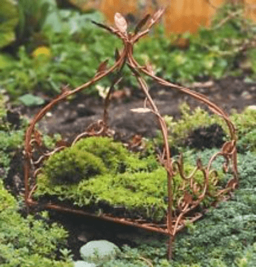 Fresh Live Sphagnum Moss - Autumn brown and pail green - Small Bag