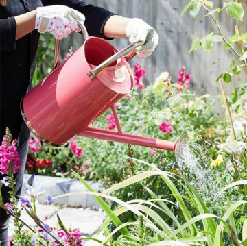 Galvanised Steel Coral Pink Watering Can - 9L