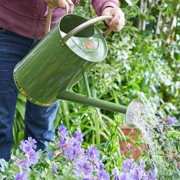 Galvanised Steel - Sage Green Watering Can - 9L