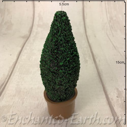 Fairy Garden Conifer Tree in a Round Terracotta Planter   - 14.5cm Tall.