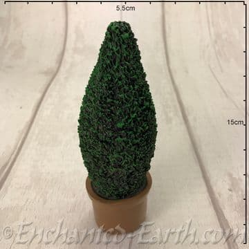Garden Conifer Tree in a Round Terracotta Planter - 14.5cm Tall