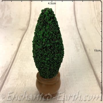 Garden Conifer Tree in a Terracotta Planter - 14.5cm Tall